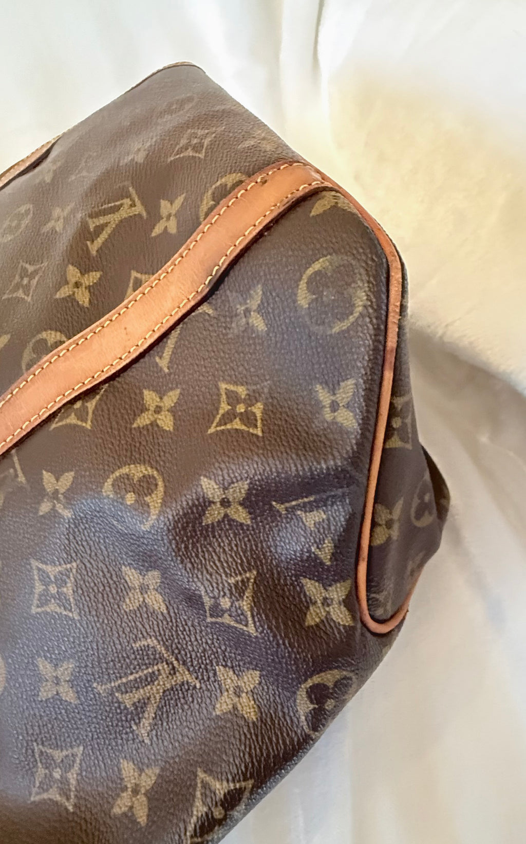 Louis Vuitton Sac Shopping Tote