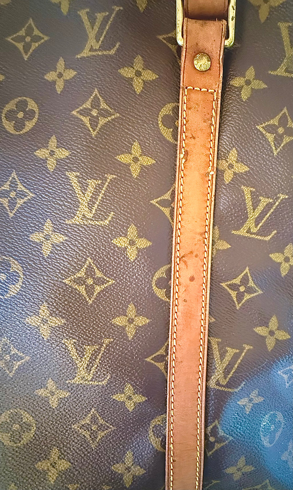 Louis Vuitton Sac Shopping Tote