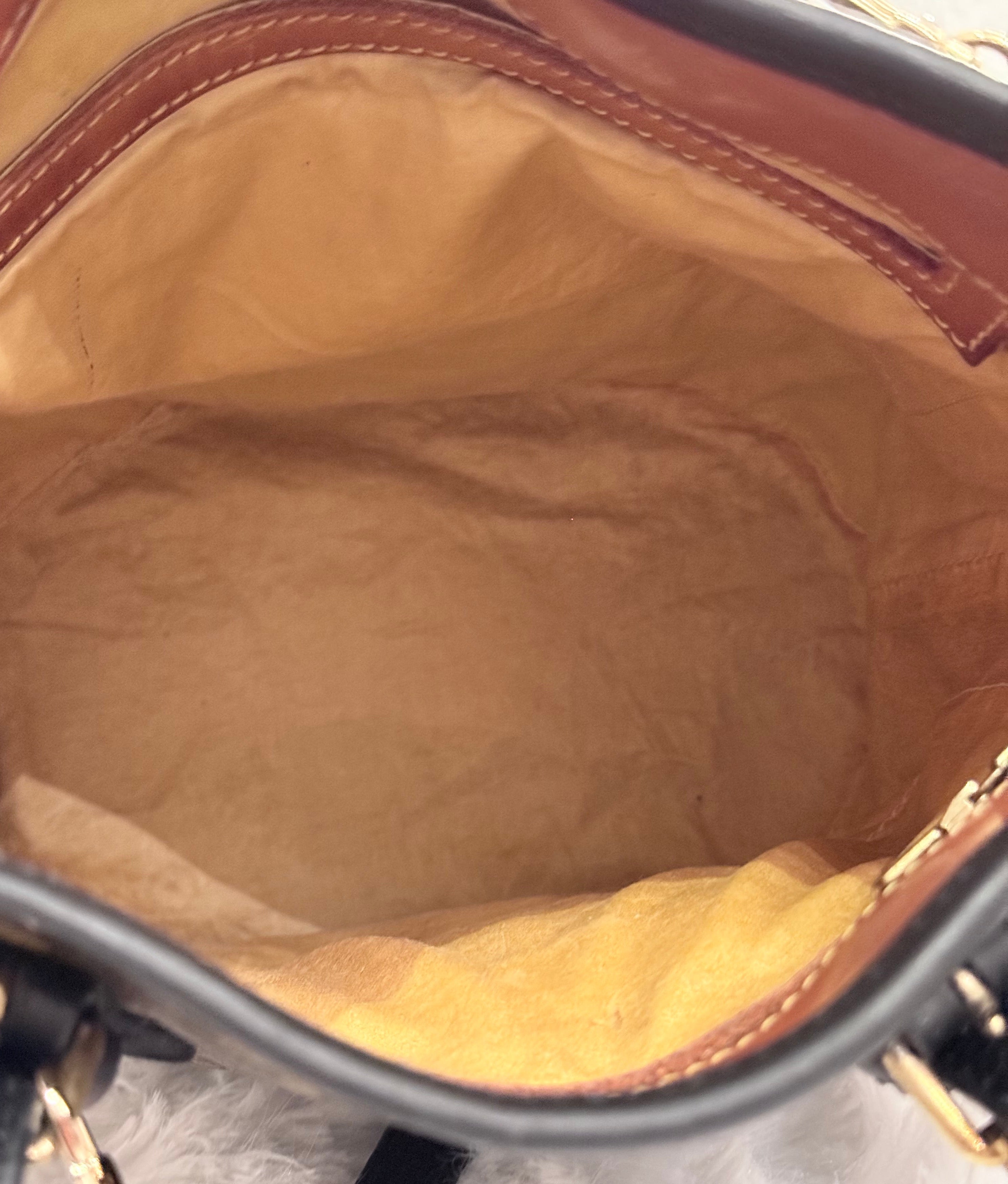 Louis Vuitton Monogram Bucket PM