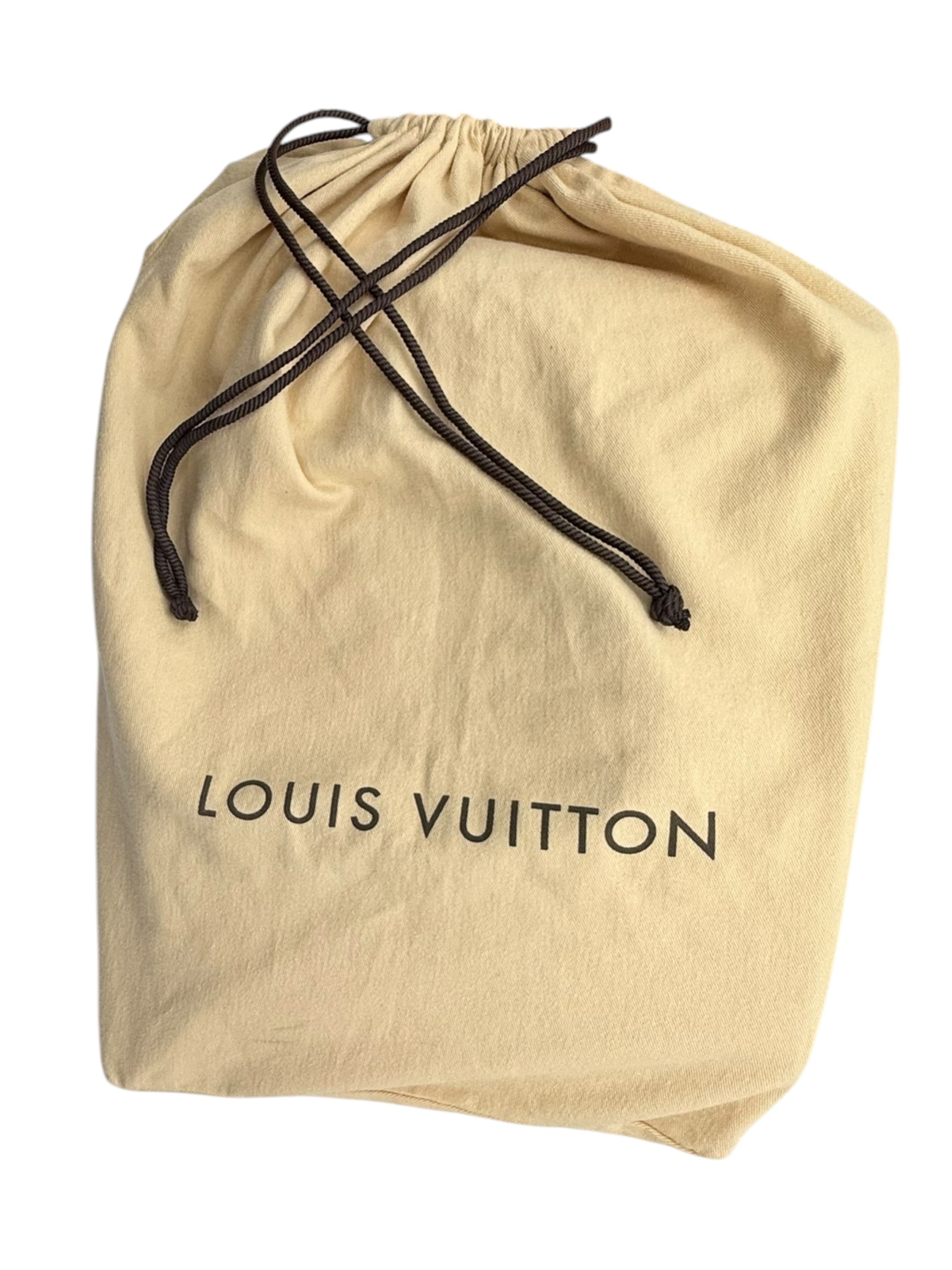 Louis Vuitton Saleya MM in Damier Azur